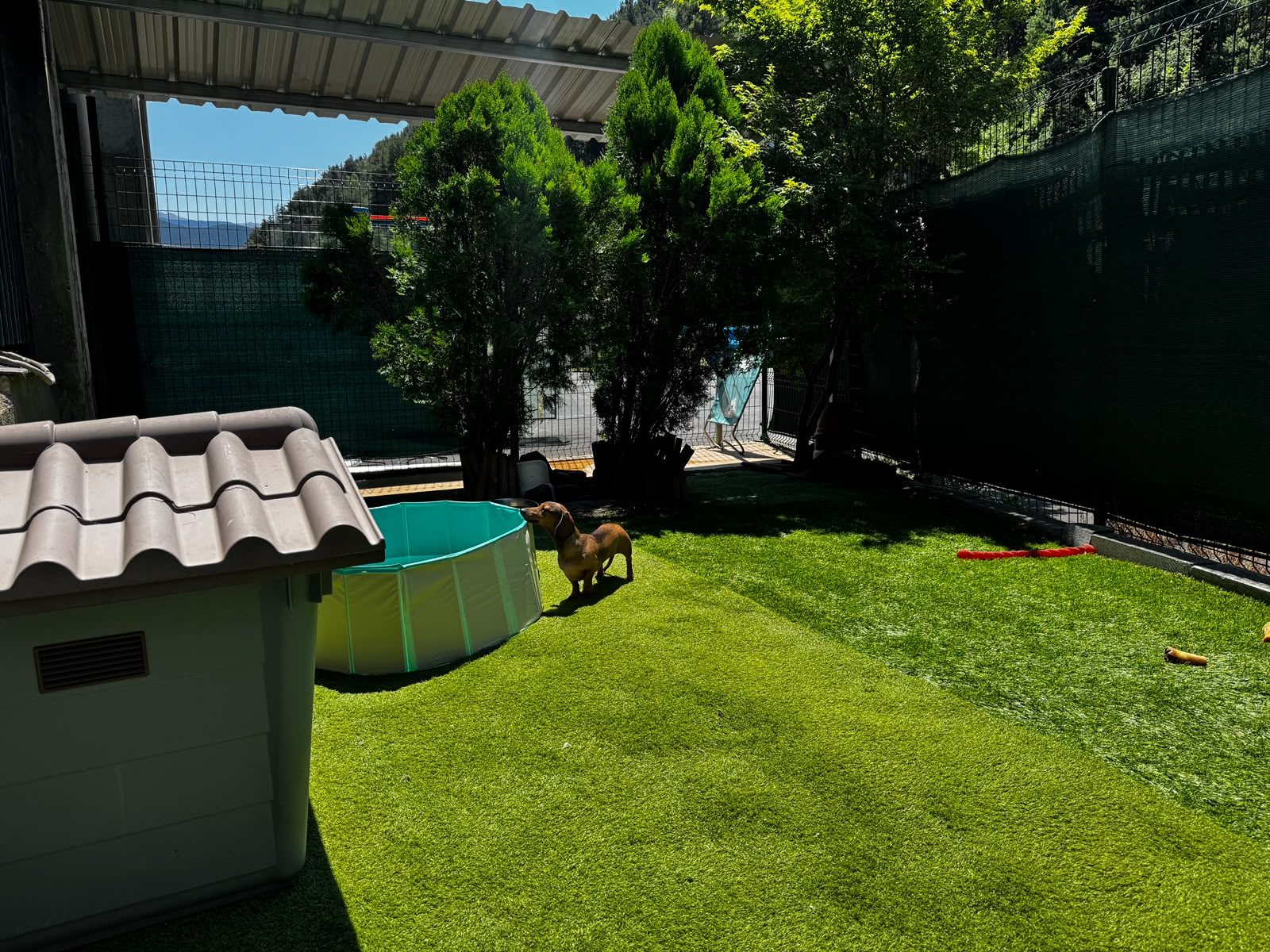 Jardín con piscina