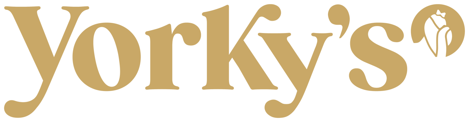 Yorky's